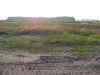 439-23092007.JPG (2121919 bytes)