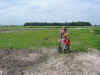 gezin op 440.JPG (325741 bytes)